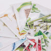 Mehrere bunte Sachets der Mizon Joyful Time Essence Mask, teils überlappend. Zu sehen sind Motive wie Aloe Vera, Honig, Olive und Erdbeere.