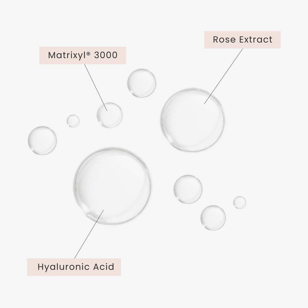 Transparente Tröpfchen mit der Aufschrift: Matrixyl® 3000, Rosenextrakt und Hyaluronsäure auf weißem Hintergrund.
