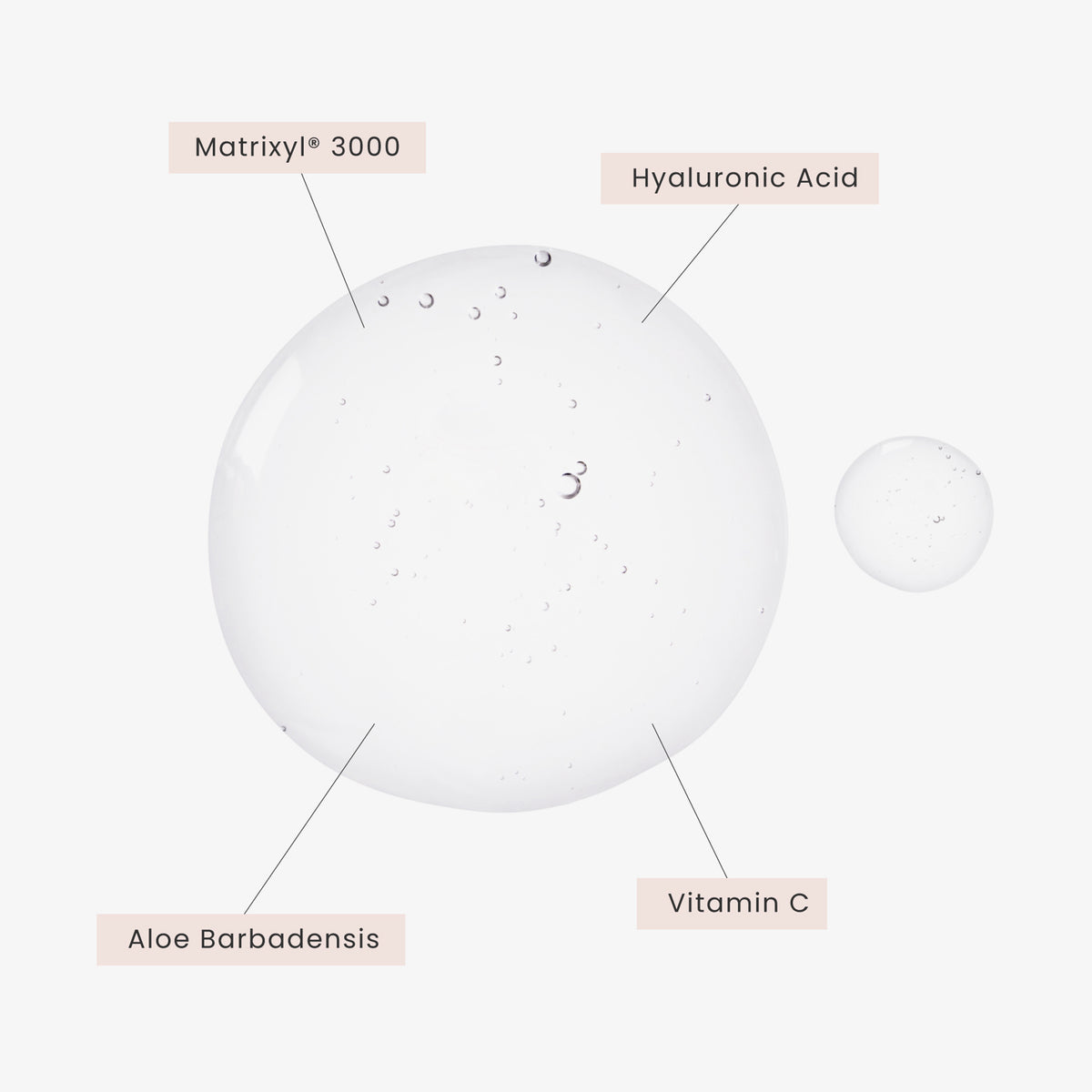Zwei klare Gel-Tropfen mit feinen Luftbläschen auf weißem Hintergrund, beschriftet mit den Hauptinhaltsstoffen: Matrixyl® 3000, Hyaluronsäure, Aloe Barbadensis und Vitamin C – typische Wirkstoffe in feuchtigkeitsspendenden und regenerierenden Hautpflegeprodukten.