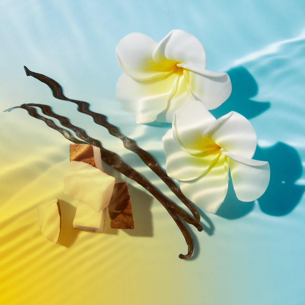 Zwei weiße Blüten, Vanilleschoten und Kokosstücke liegen auf einem Farbverlauf-Hintergrund in Blau und Gelb mit Lichtreflexen von Wasser.