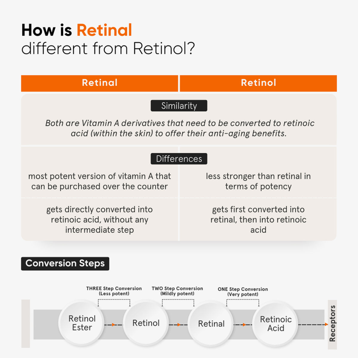 Vergleichstabelle mit den Unterschieden zwischen Retinal und Retinol sowie einem Diagramm der Hautumwandlungsschritte, mit der Minimalist Vitamin K + Retinal 0,1 % Augencreme.