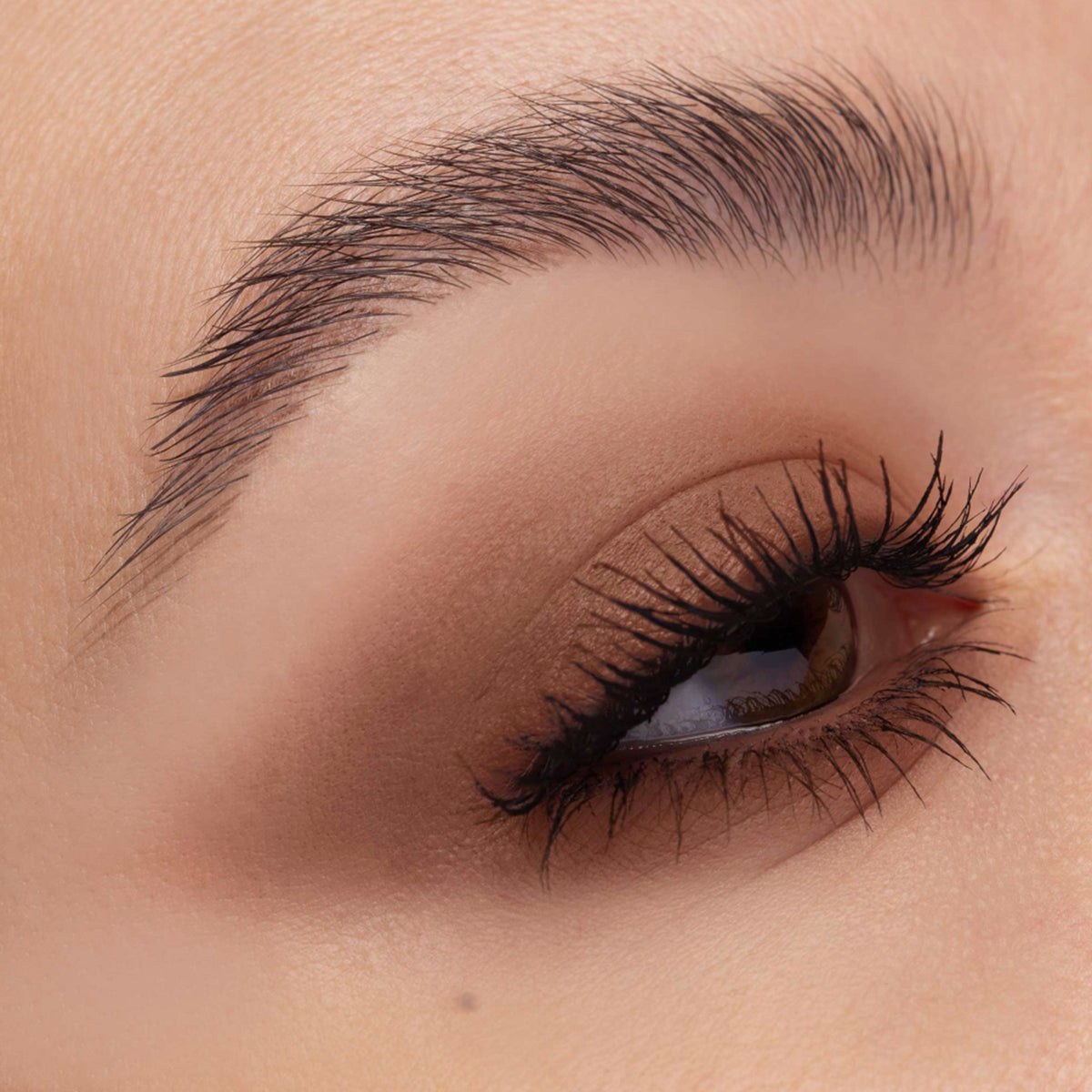 Nahaufnahme eines Auges mit natürlichem, weich verblendetem, mattem Braunton auf dem Lid und dezent betonten schwarzen Wimpern.