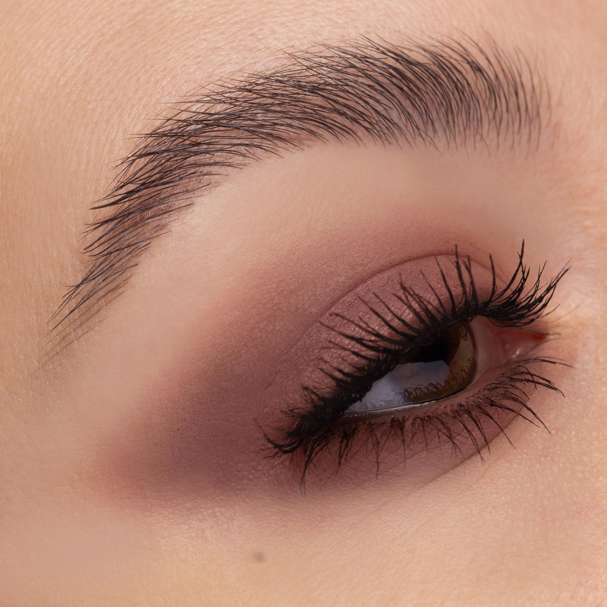 Auge mit weich verblendetem rosé-braunem Lidschatten, der in der Lidfalte intensiviert ist. Die Wimpern sind kräftig getuscht und betont.