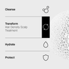 Routine in 4 Schritten: Cleanse, Transform (hair Density Scalp Treatment), Hydrate, Protect. Textur rechts abgebildet.