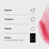 Hautpflegeroutine in 4 Schritten: Cleanse, Transform, Hydrate, Protect (Lip Gloss Tinted Rose). Textur rechts abgebildet.