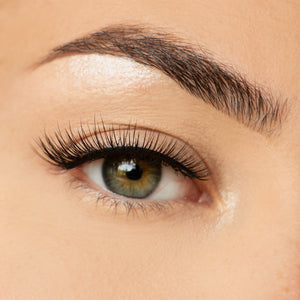 3D Lashes