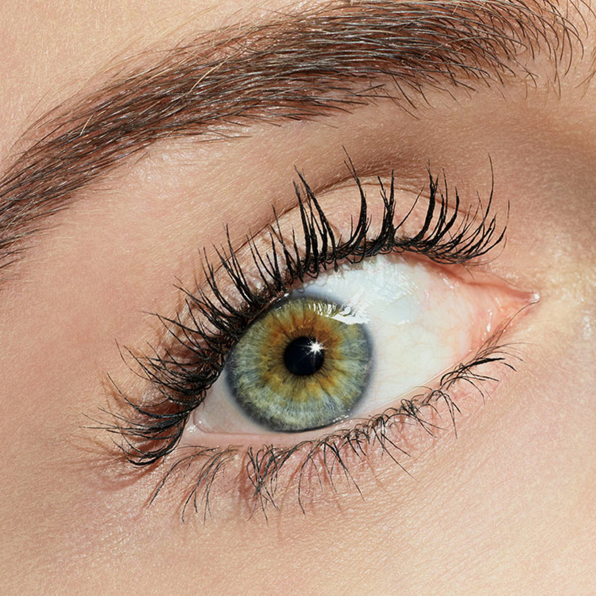 Nahaufnahme eines Blau-grünen Auges mit langen schwarzen definierten Wimpern nach Anwendung der Glam & Doll False Lashes Mascara Waterproof 010