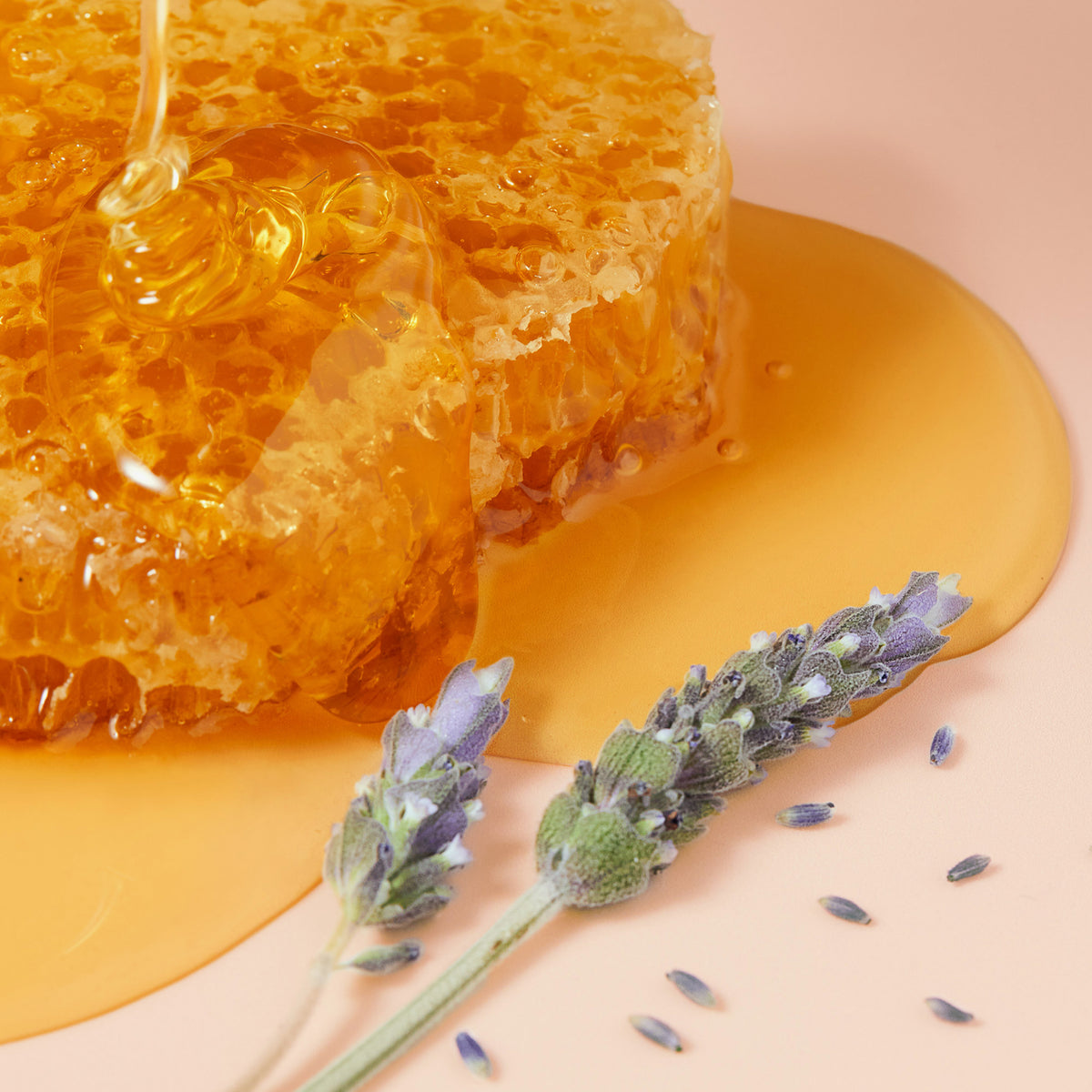 Nahaufnahme von goldgelber Honigwabe mit flüssigem Honig und zwei Lavendelblüten auf rosafarbenem Untergrund.