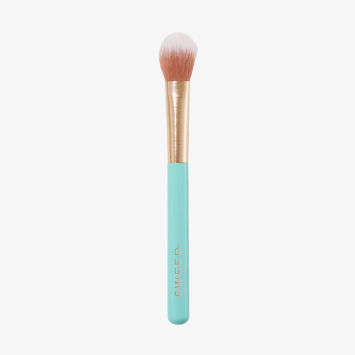 05 Highlighter Brush