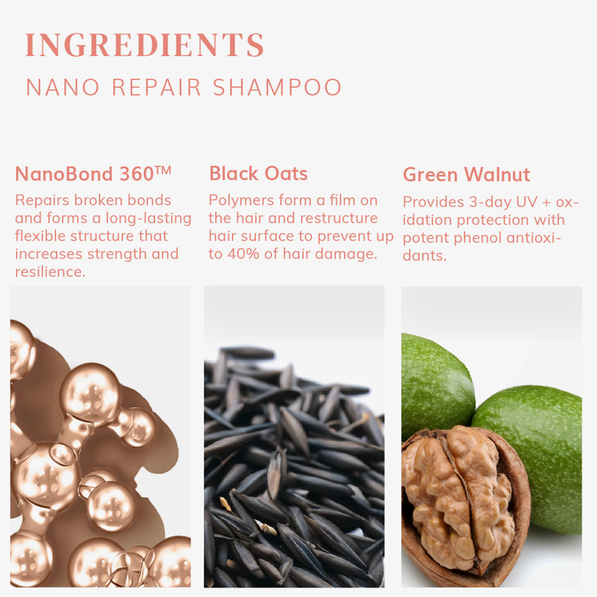 Drei Feldern stellen die NanoBond 360°-Kügelchen, den schwarzen Hafer und die grünen Walnüsse im Abyssian Nano Repair Shampoo vor.