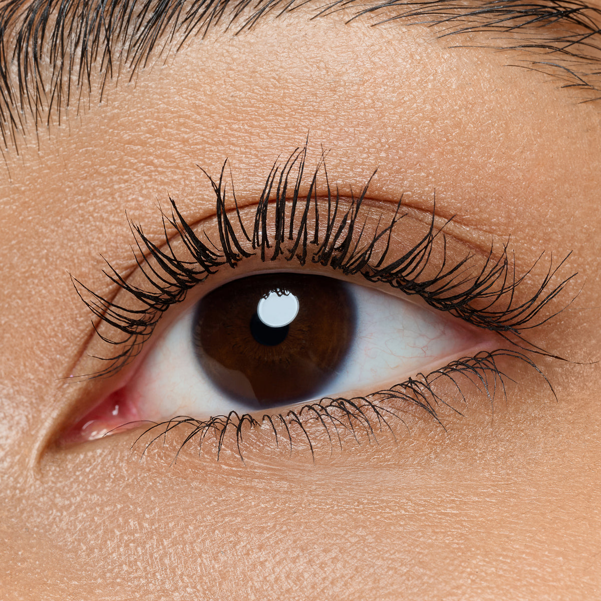 Nahaufnahme eines Auges mit brauner Iris und langen, definierten Wimpern, die mit Mascara betont wurden.