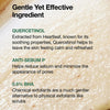Heartleaf Quercetinol Pore Deep Cleansing Foam