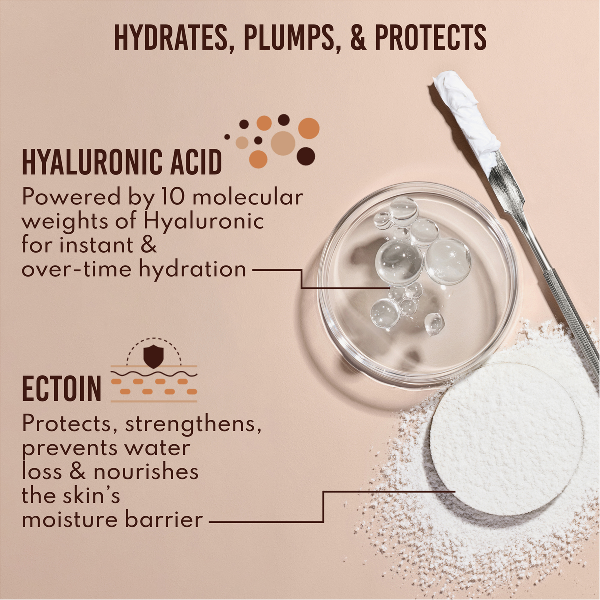 Grafik zu Hautpflege-Inhaltsstoffen: Hyaluronsäure und Ectoin mit Text ‚hydrates, plumps & protects‘, Laborutensilien auf beigem Hintergrund.