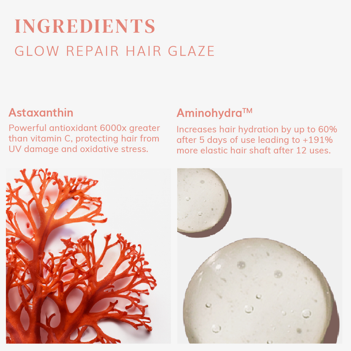 Rote Algen und Gelklumpen veranschaulichen Astaxanthin und Aminohydra™ in der Produktbeschreibung von „Glow Repair Hair Glaze“ von Abyssian.