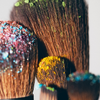 Das „On the go“-Pinselset von LH Cosmetics, bestäubt mit leuchtenden Puder- und Glitzerpigmenten, vor einem neutralen Hintergrund.