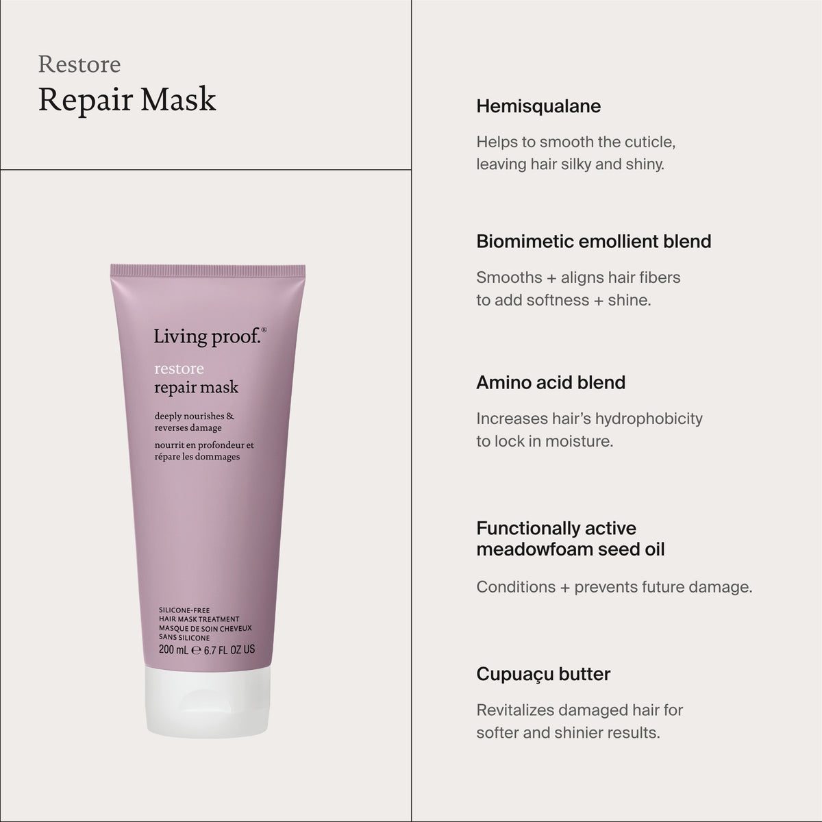 Restore Repair Mask