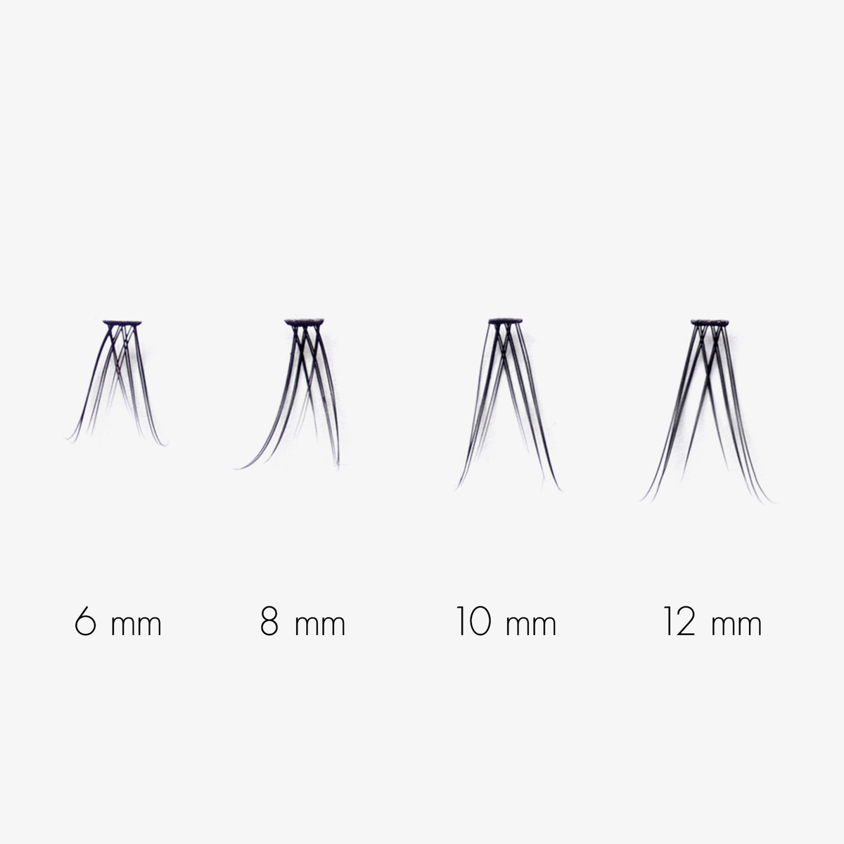 SWEED No Lash-Lash umfasst vier Wimperngruppen (6 mm, 8 mm, 10 mm, 12 mm), die von links nach rechts nach Größe geordnet sind.