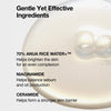 Rice 70 Glow Milky Toner