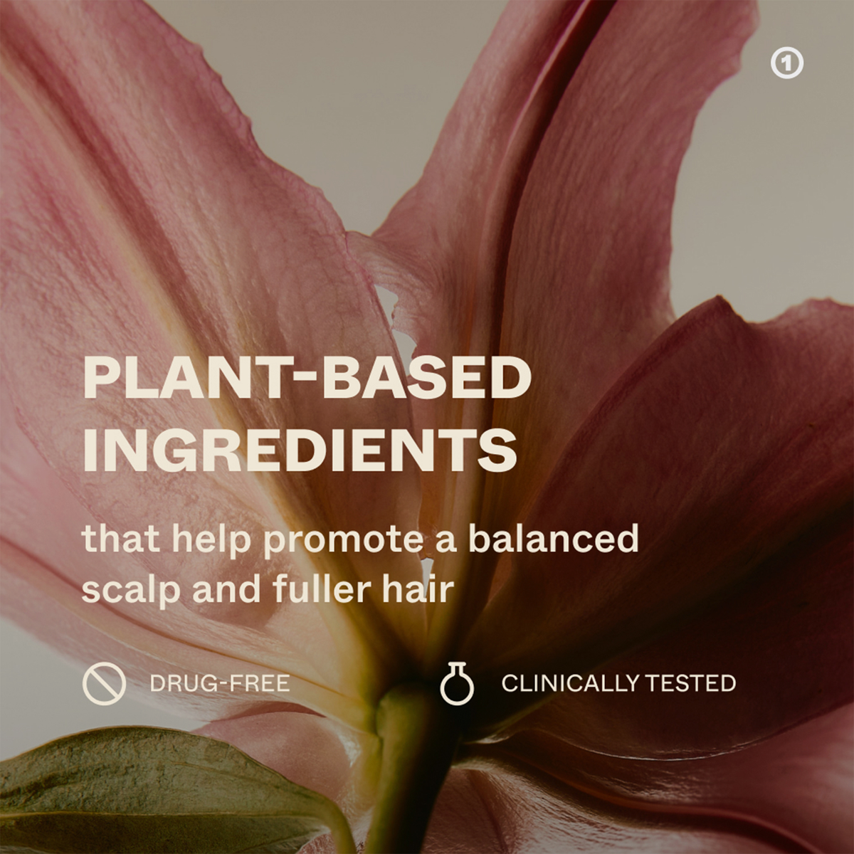 Nahaufnahme einer rosafarbenen Lilie mit Text über Scandinavian Biolabs; pflanzliche, arzneimittelfreie und klinisch getestete Haarpflegestoffe.