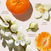 Das Abyssian Supergloss Haarserum duftet nach weißem Moschus, süßem Jasmin und Mandarine und wird mit Jasminblüten und Mandarinenscheiben dargestellt.