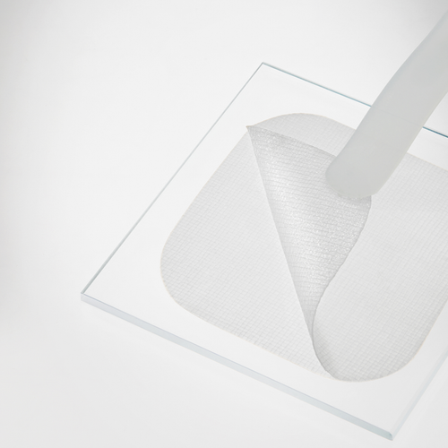 Madecassoside Blemish Pad