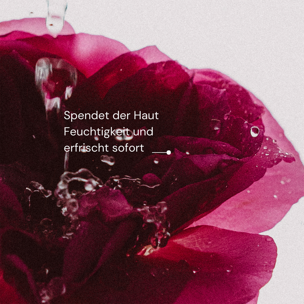 Wasser ergießt sich auf eine dunkelrosa Rose mit deutschem Text: Antioxidant Mist With Rose Quartz von MERME spendet Feuchtigkeit, erfrischt sofort.