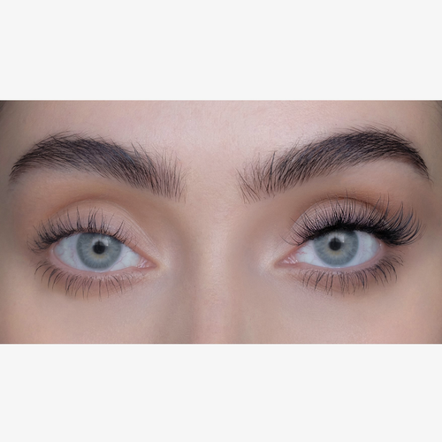 No Lash-Lash