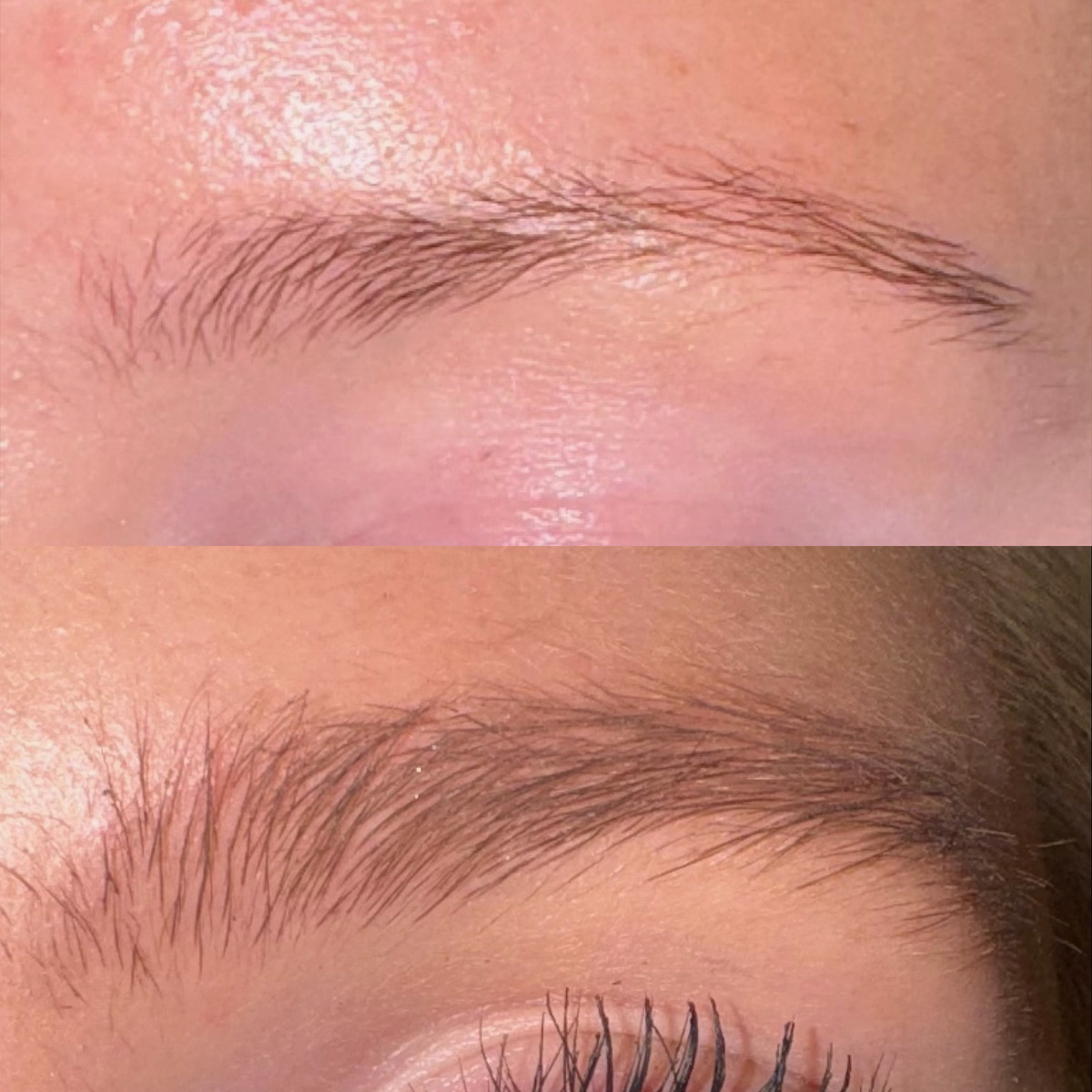 Oben: spärliche Augenbrauen; unten: vollere, klar definierte Augenbrauen mit sichtbaren Wimpern nach der Anwendung des XLASH Xbrow Augenbrauenserums 1,5 ml.