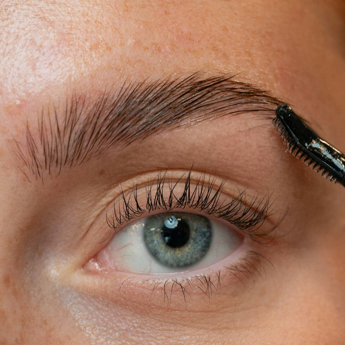 The brow wax