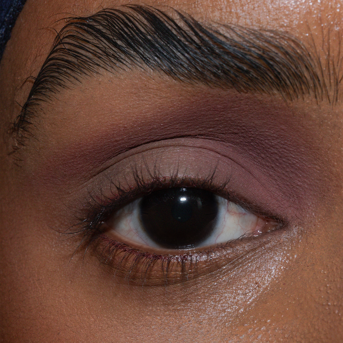 Eine Nahaufnahme eines braunen Auges mit gepflegten Augenbrauen und mattem mauvefarbenen Lidschatten mit The single von LH Cosmetics.