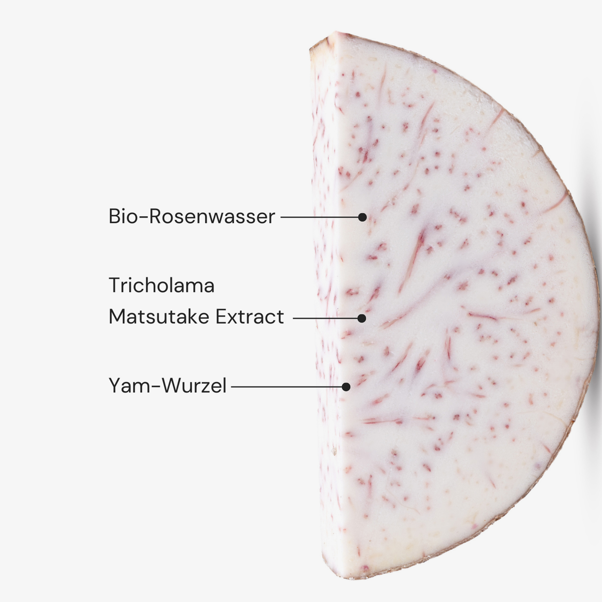 Ein Stück Yamswurzel mit der Aufschrift MERME Fresh Dew Face Mist mit Bio-Rosenwasser und Tricholama Matsutake Extrakt.