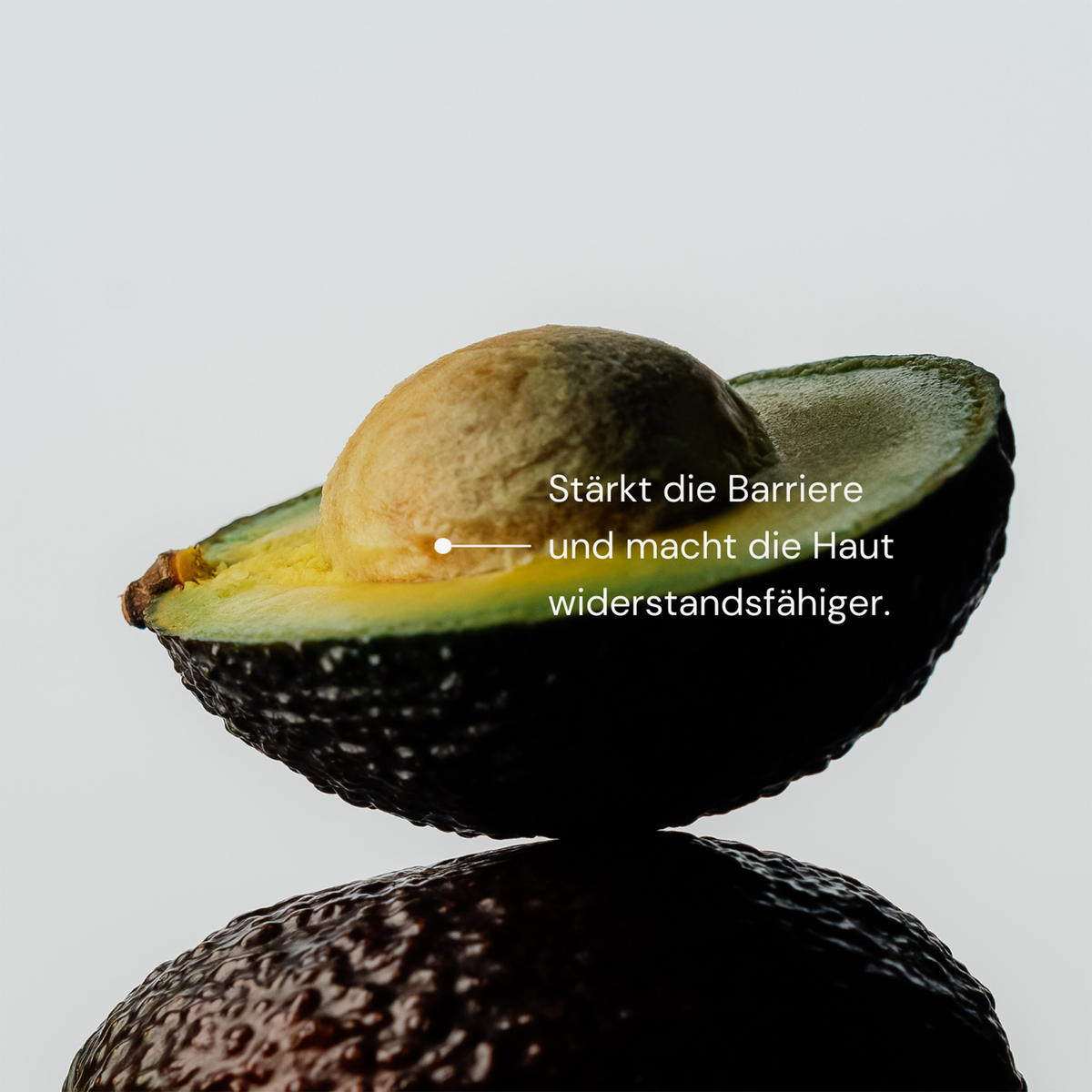 Eine halbierte Avocado und ein deutscher Text über die Widerstandsfähigkeit der Haut illustrieren die MERME Gentle Barrier Face Cream auf weißem Hintergrund.