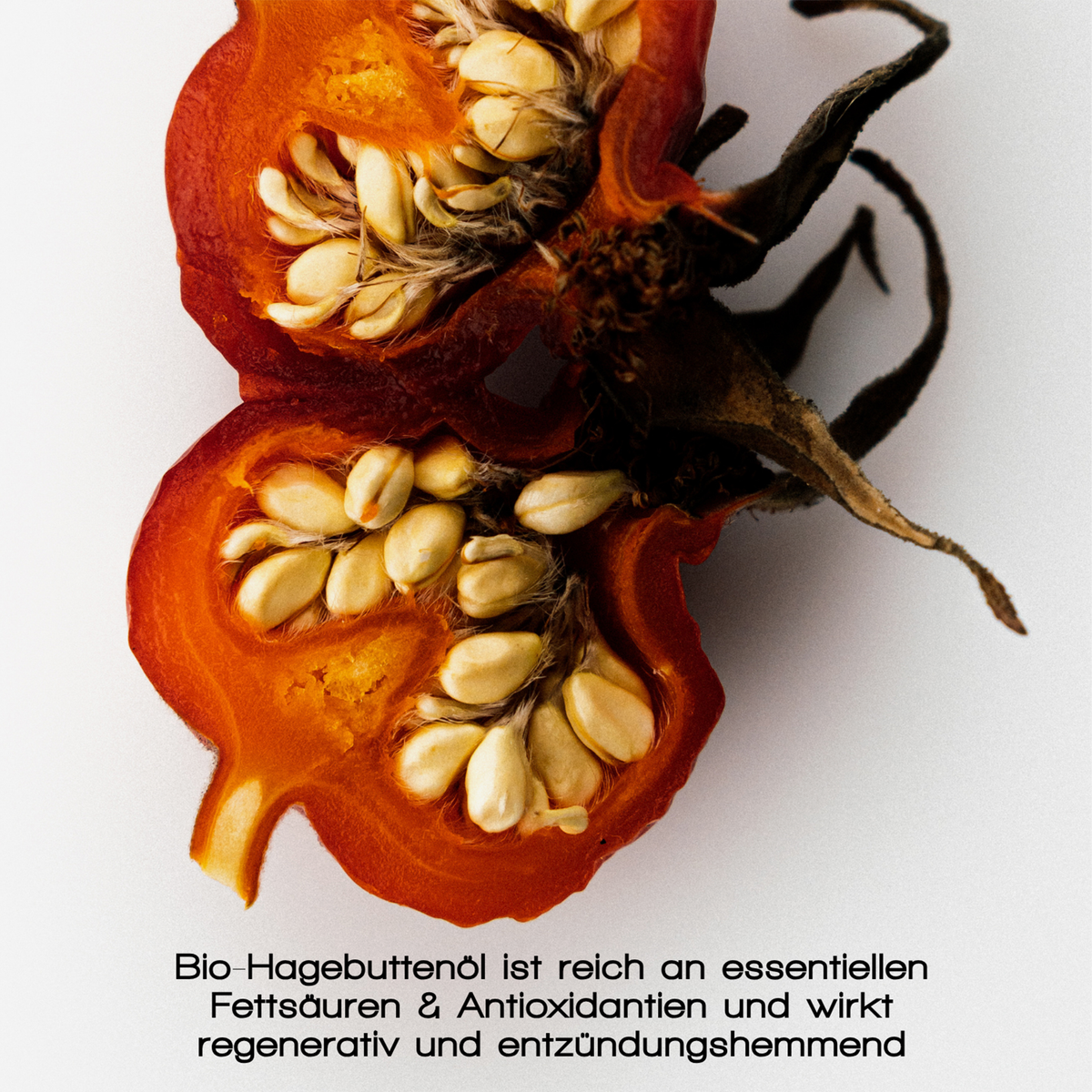 Eine halbierte Hagebuttenfrucht mit Kernen über einem deutschen Text, der die Vorteile des Glowing Guard Face Oil von MERME hervorhebt.