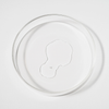 Eine klare Petrischale mit einem schwachen, unregelmäßigen Fleck in der Mitte zeigt Bio-Pilixin® Serum von Scandinavian Biolabs auf weißem Hintergrund.