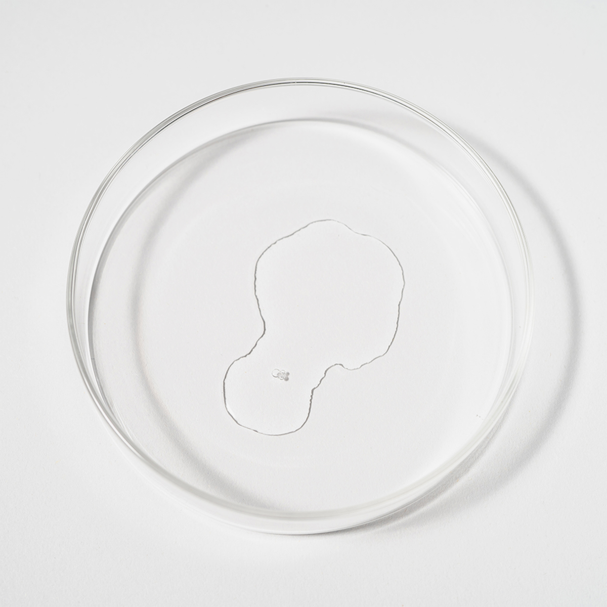 Eine klare Petrischale mit einem schwachen, unregelmäßigen Fleck in der Mitte zeigt Bio-Pilixin® Serum von Scandinavian Biolabs auf weißem Hintergrund.