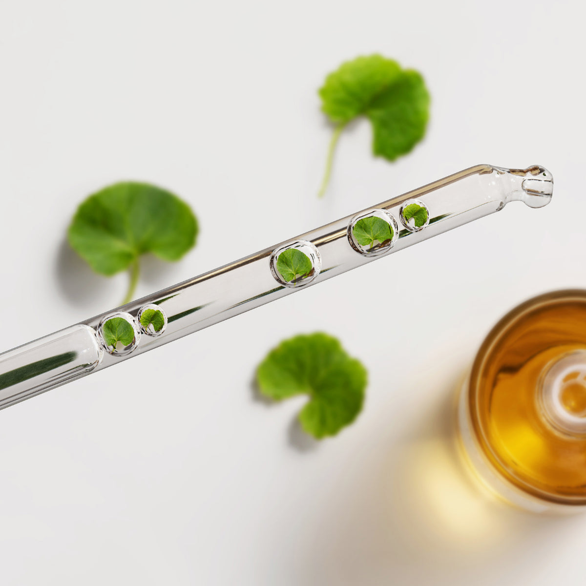 Madagascar Centella Ampoule