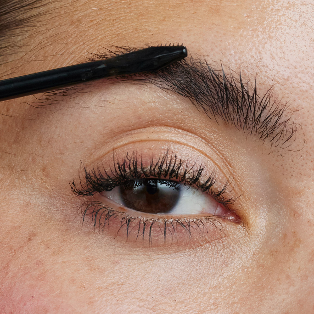 Nahaufnahme einer Applikatorbürste, mit der das XLASH Brow Booster-Serum auf eine Augenbraue aufgetragen wird.