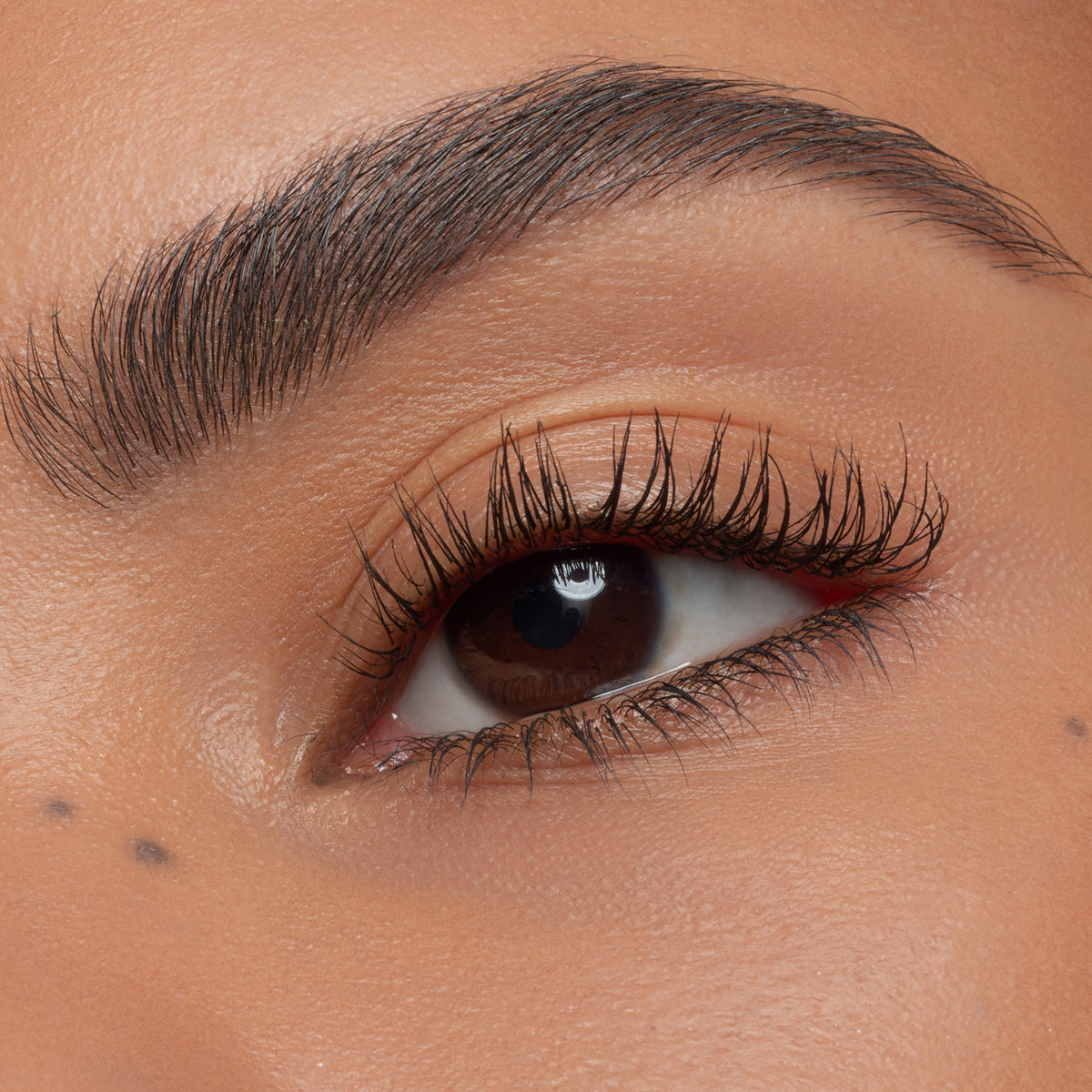 Nahaufnahme eines Auges mit brauner Iris, geschwungenen, getuschten Wimpern und gepflegter Augenbraue, zeigt ein natürliches Make-up-Ergebnis.