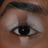 Eine Nahaufnahme eines Auges mit definiertem Make-up auf dem Lid und den Augenbrauen unter Verwendung von The Single von LH Cosmetics.