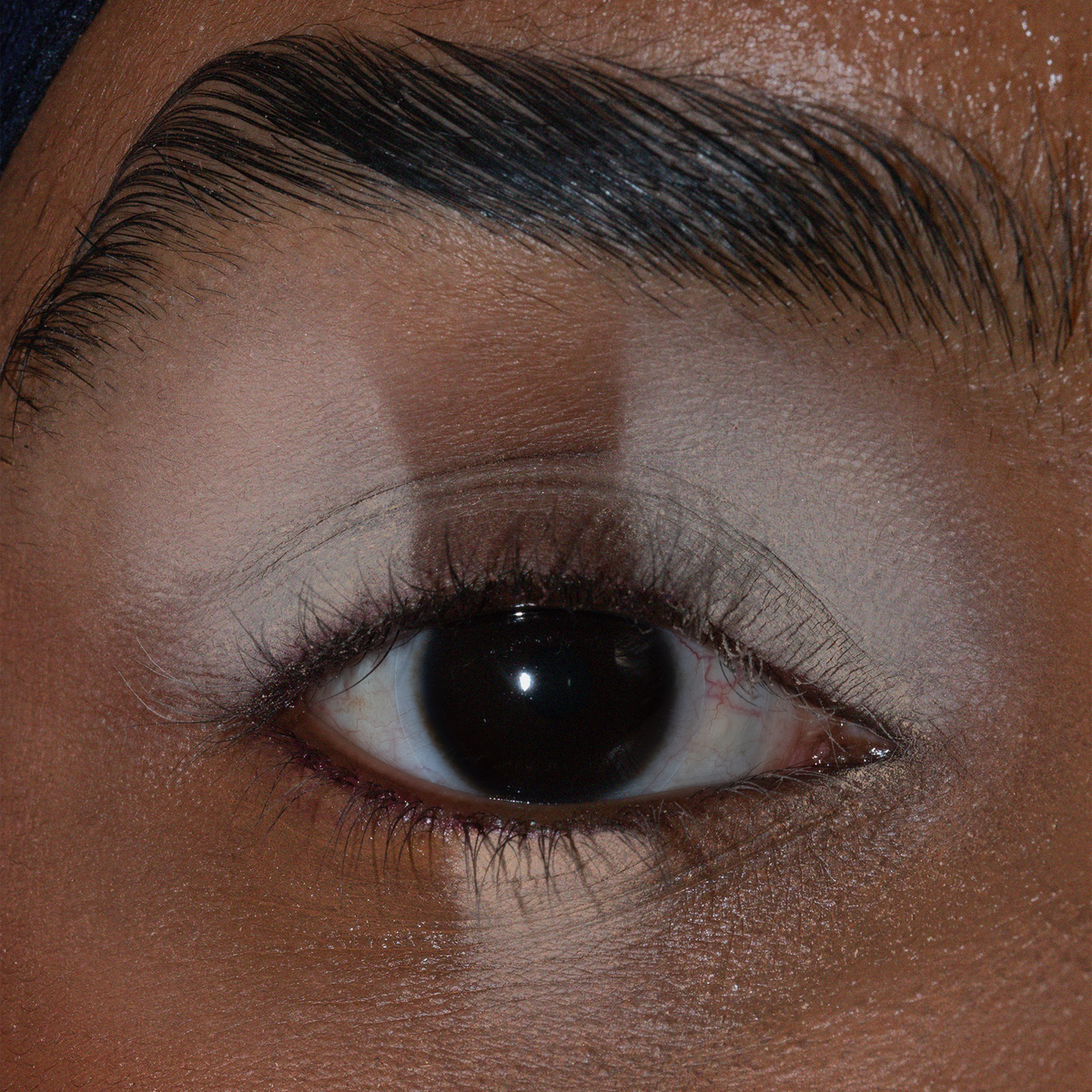 Eine Nahaufnahme eines Auges mit definiertem Make-up auf dem Lid und den Augenbrauen unter Verwendung von The Single von LH Cosmetics.