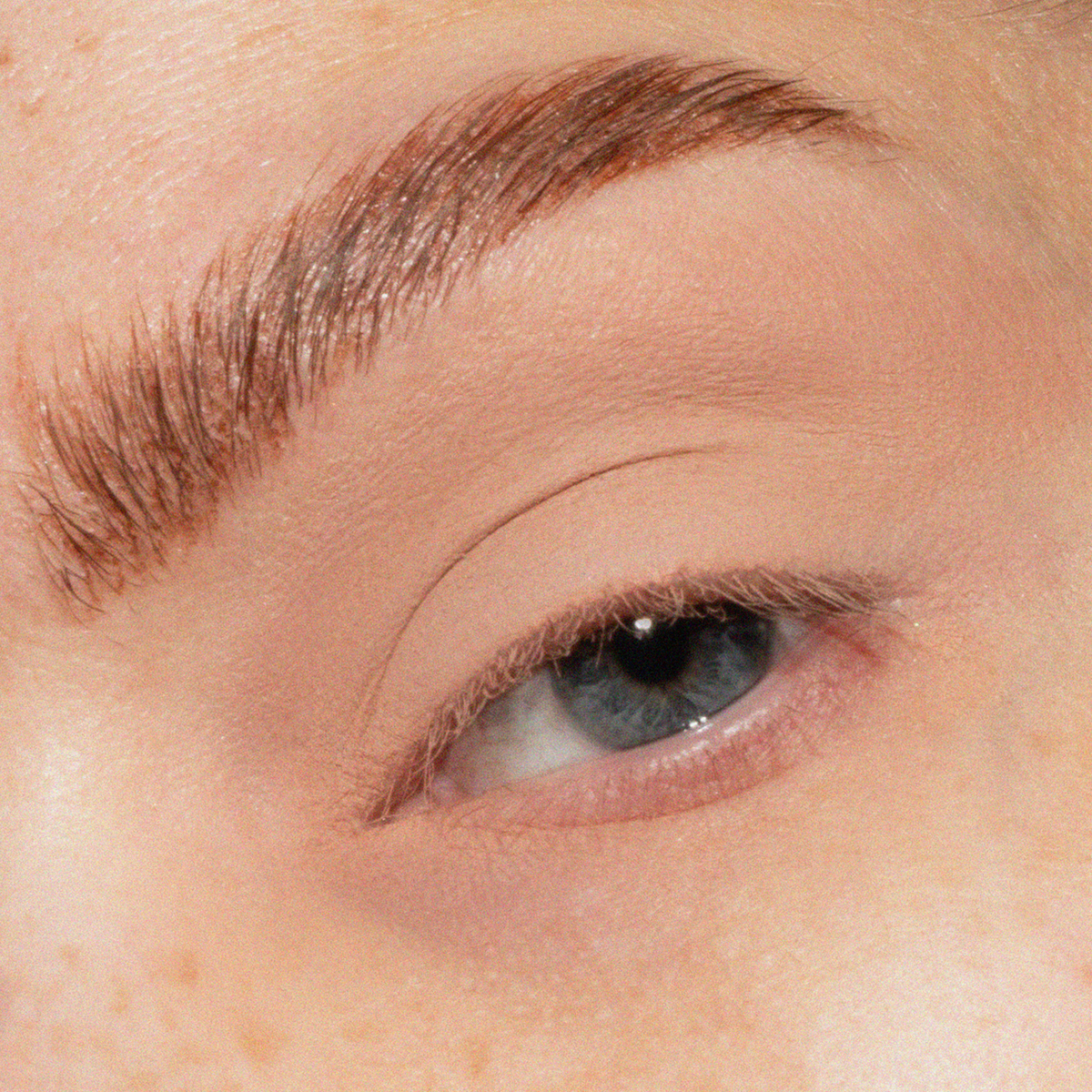 Eine Nahaufnahme eines blauen Auges mit gepflegten Augenbrauen und minimalem Make-up, mit The Single von LH Cosmetics.