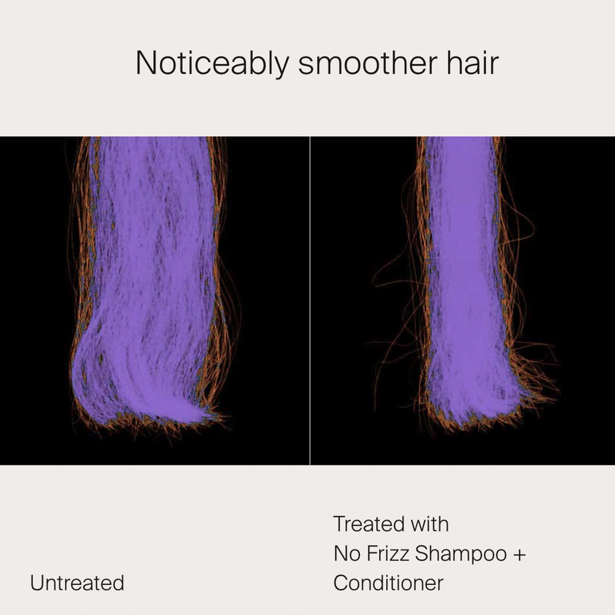 No Frizz Conditioner