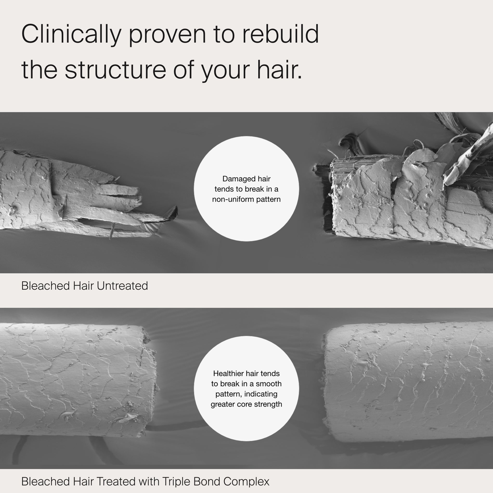 Triple Bond Complex Living Proof. | PURISH