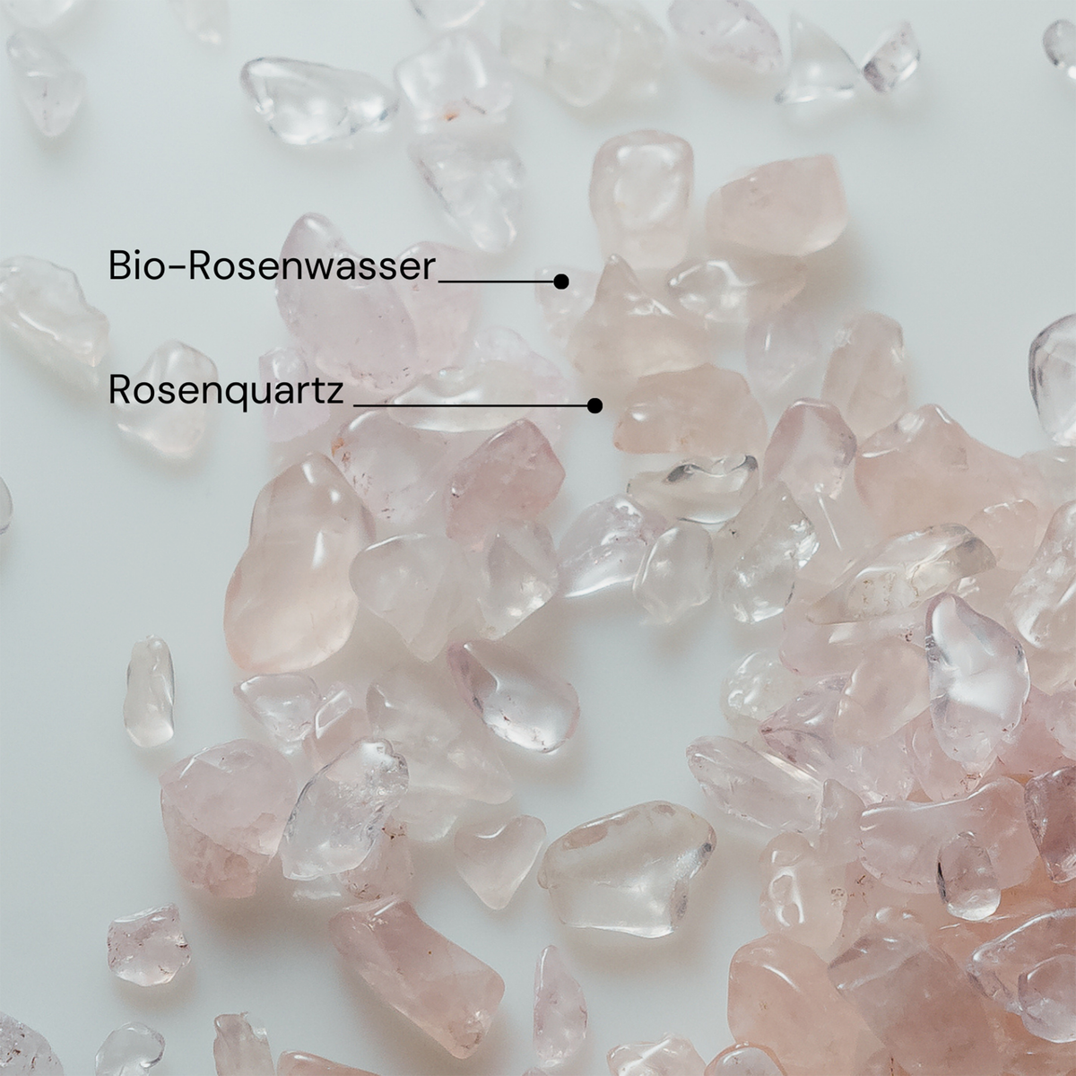 MERME Antioxidant Mist With Rose Quartz auf weißem Hintergrund mit verstreuten Rosenquarzkristallen.