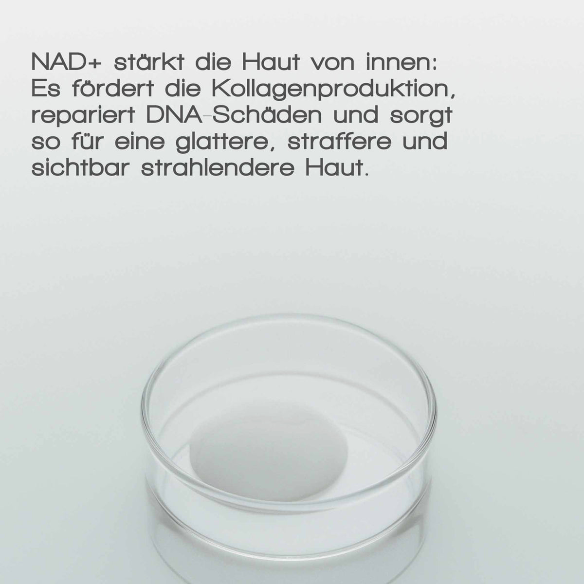 Eine Glas-Petrischale steht vor weißem Hintergrund mit deutschem Infotext über die Wirkung des MERME Pore & Line Refine Face Serums auf die Haut.