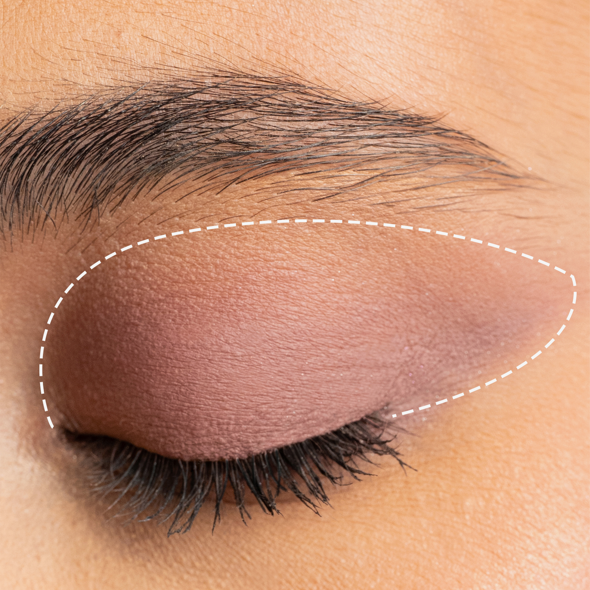 Ein geschlossenes Auge mit braunem Lidschatten von Mesauda Milano Drawmatic Shadow, umrandet von einer gestrichelten weißen Linie oberhalb des Augenlids und unterhalb der Augenbraue.