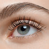 Nahaufnahme eines blauen Auges mit langen, definierten Wimpern und einer gepflegten Augenbraue.