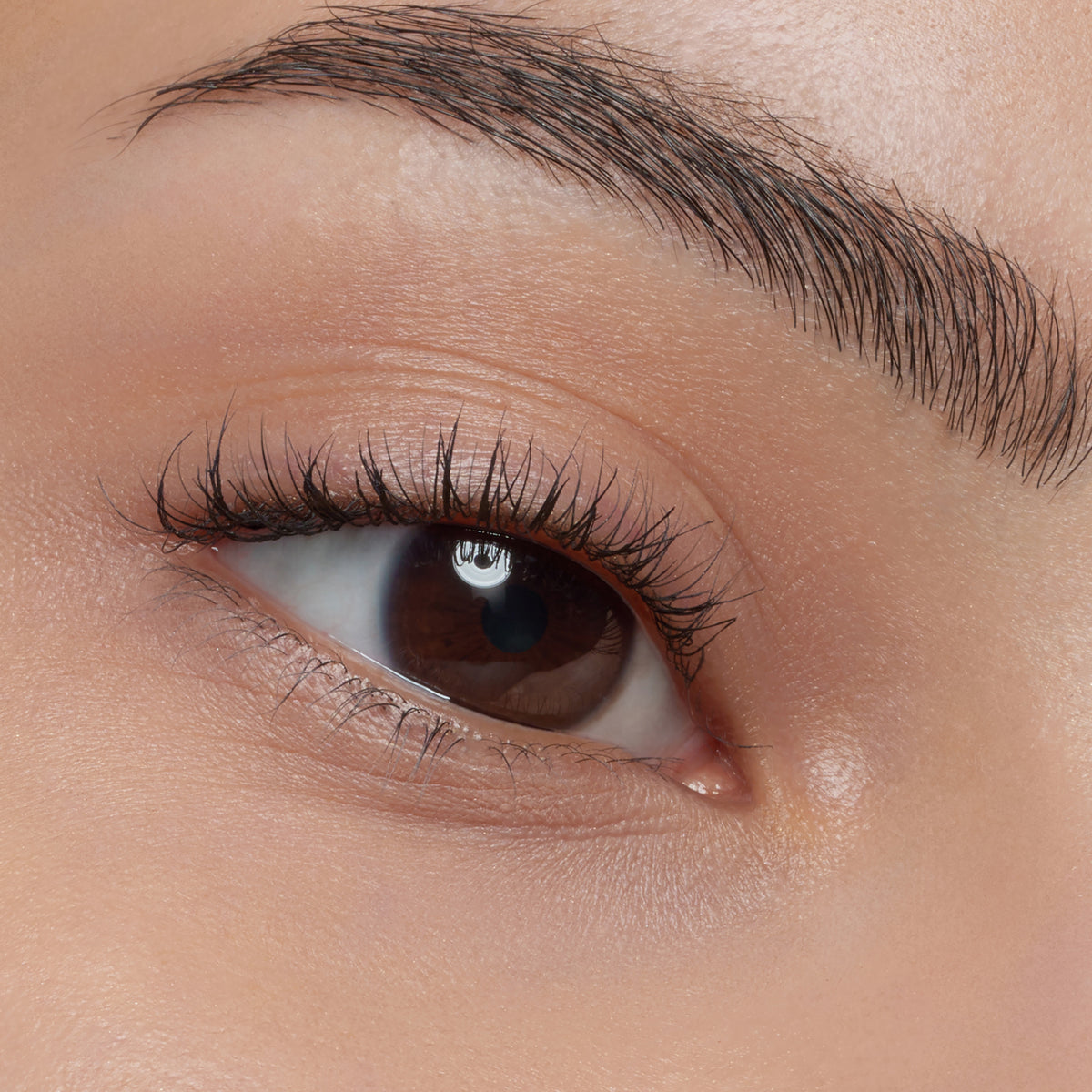 Eine Nahaufnahme eines braunen Auges mit langen Wimpern, die durch die Essence curl FIXING Lash Base verstärkt werden.