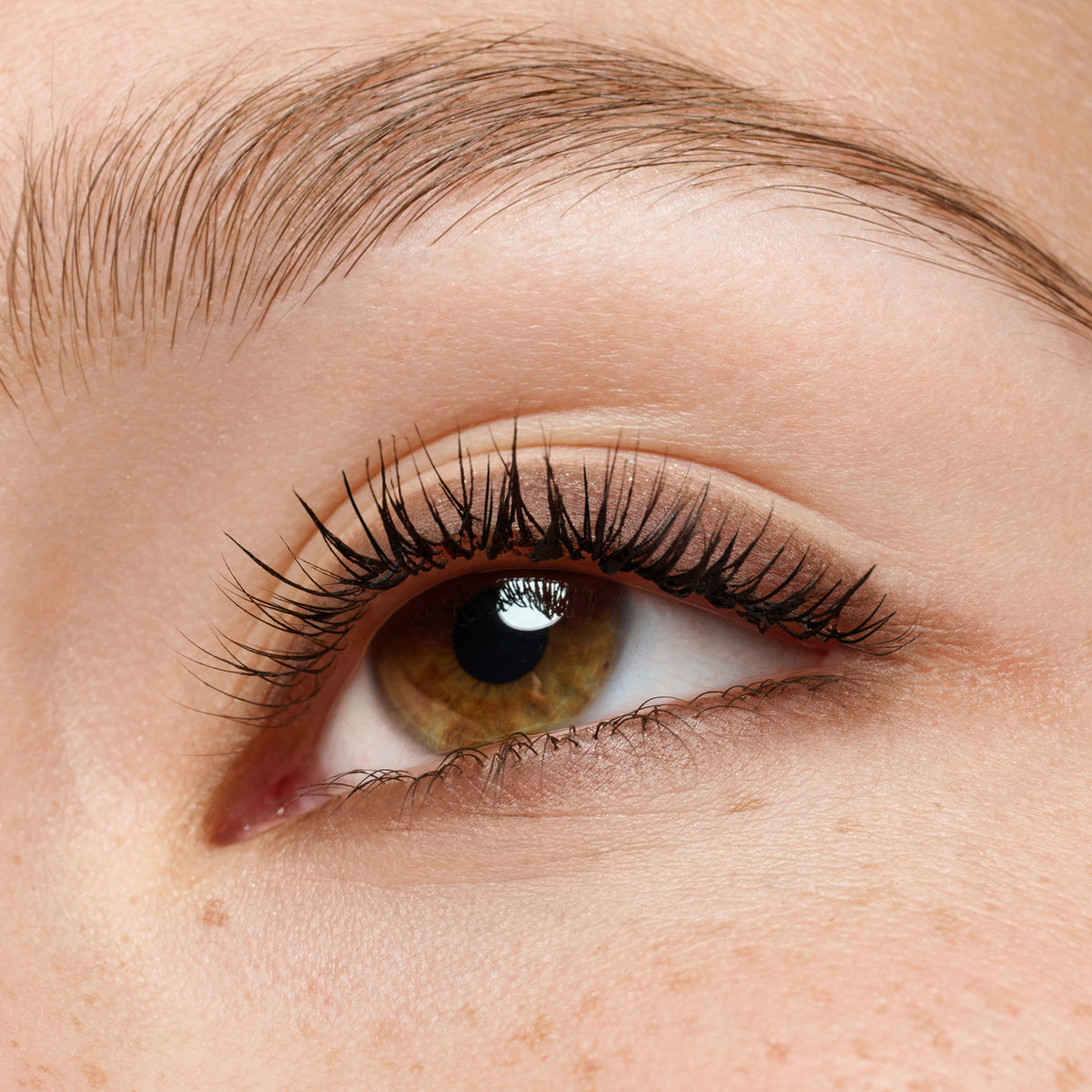 Nahaufnahme eines braunen Auges mit präzisem braunen Eyeliner am unteren Wimpernkranz und langen, definierten Wimpern.