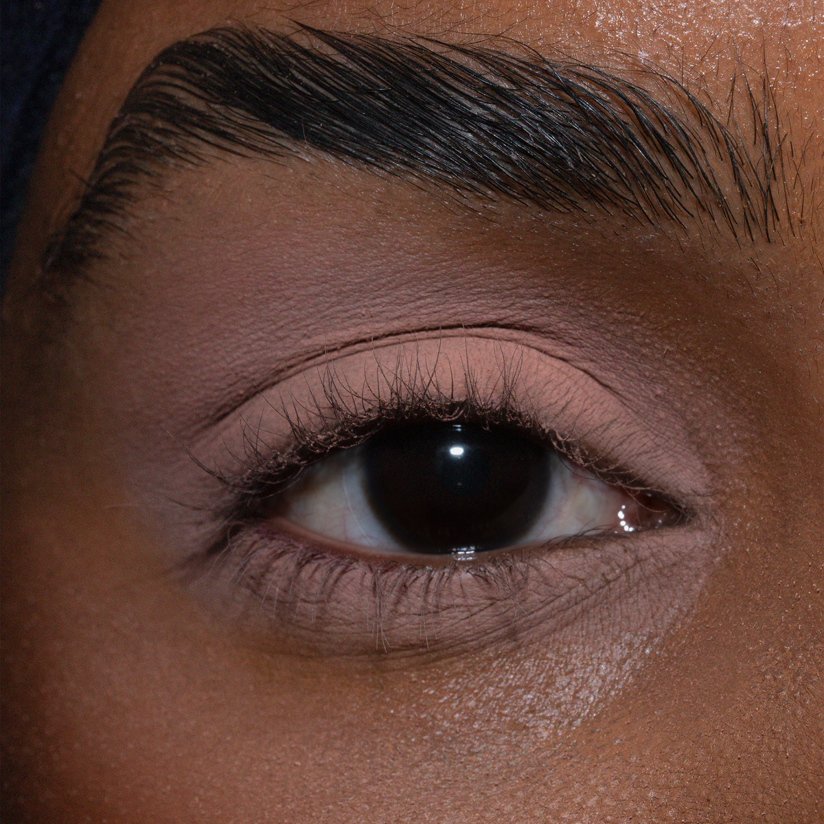 Eine Nahaufnahme eines braunen Auges mit natürlichem Make-up von LH Cosmetics The Single und einer gepflegten Augenbraue.